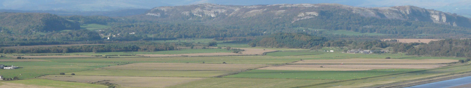 morecambe bay wildlife network