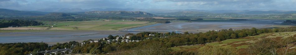 morecambe bay wildlife network